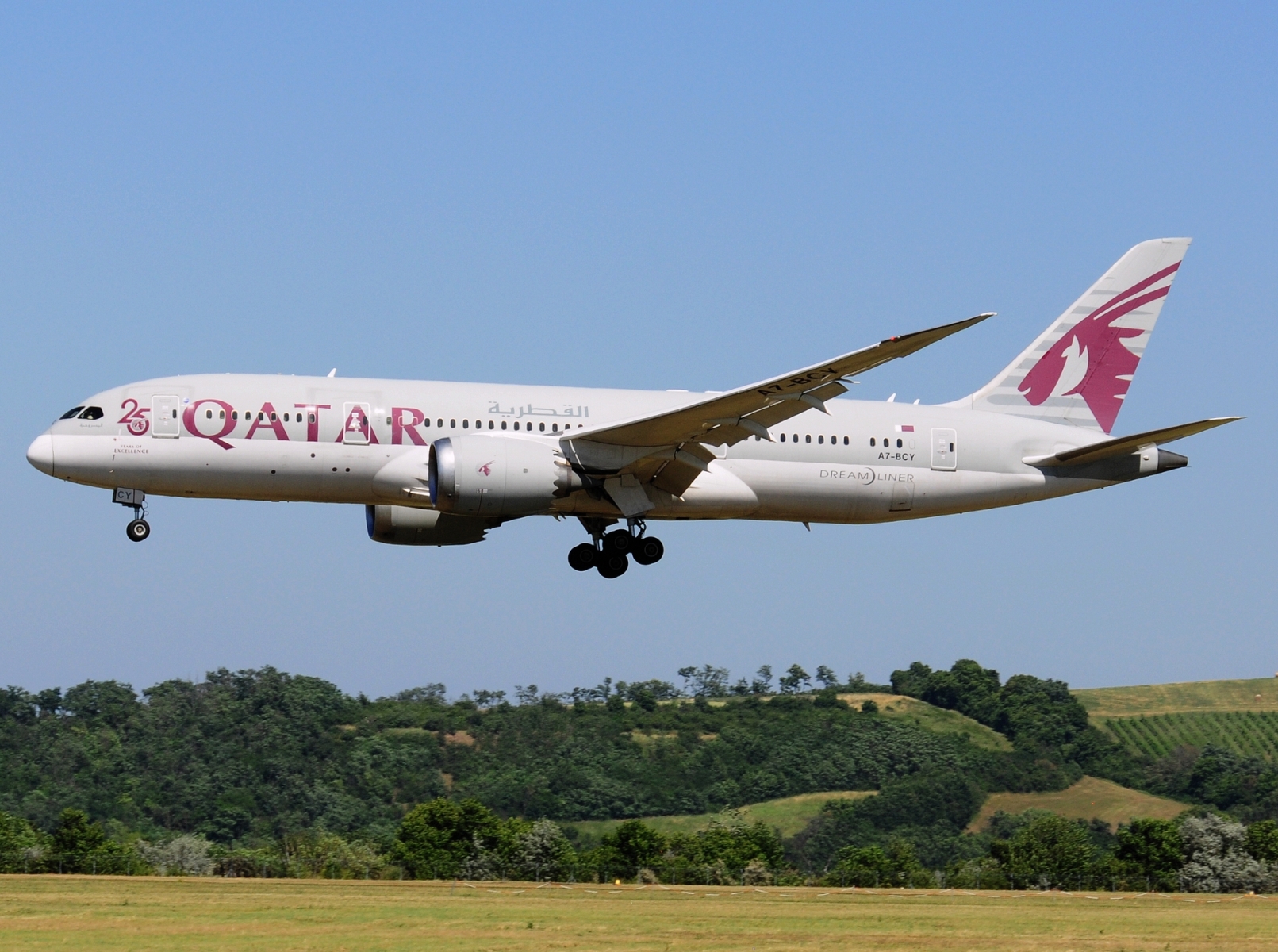 A7-BCY - 787-8 Dreamliner - Qatar Airways - VIE - 25-06-2025