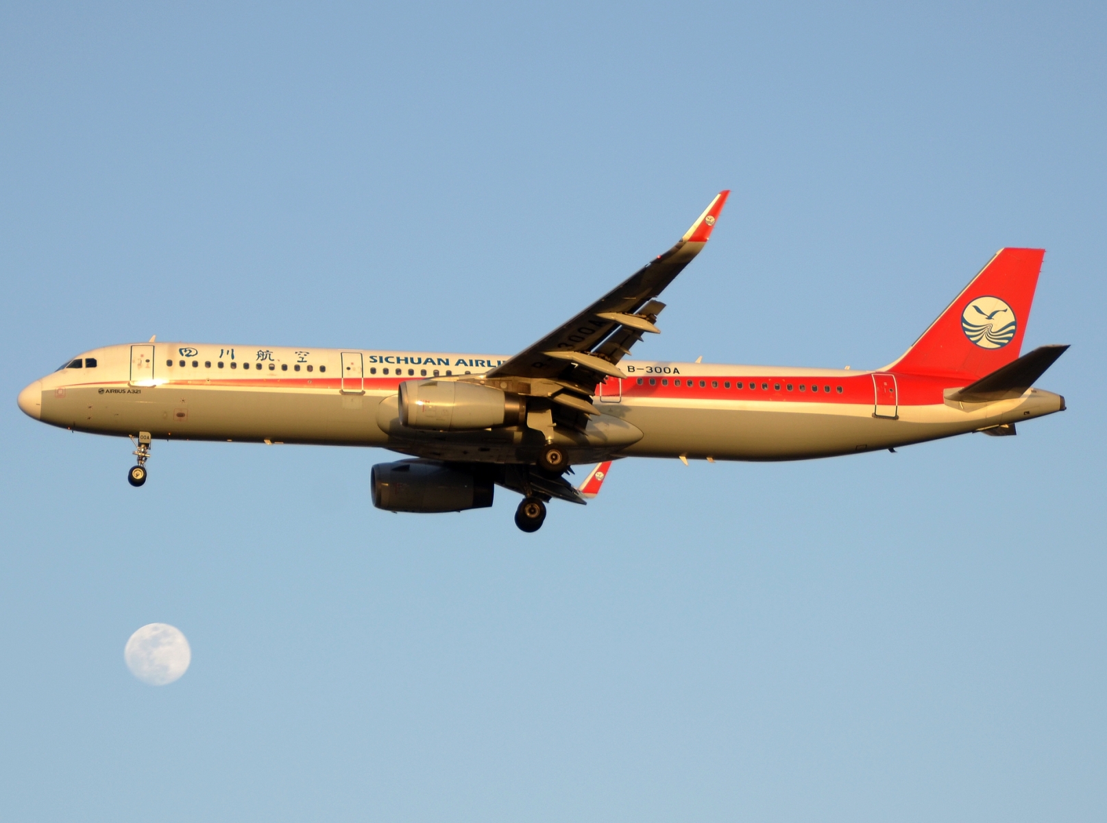 B-300A - A321-231(WL) - Sichuan Airlines - PEK - 12-03-2025