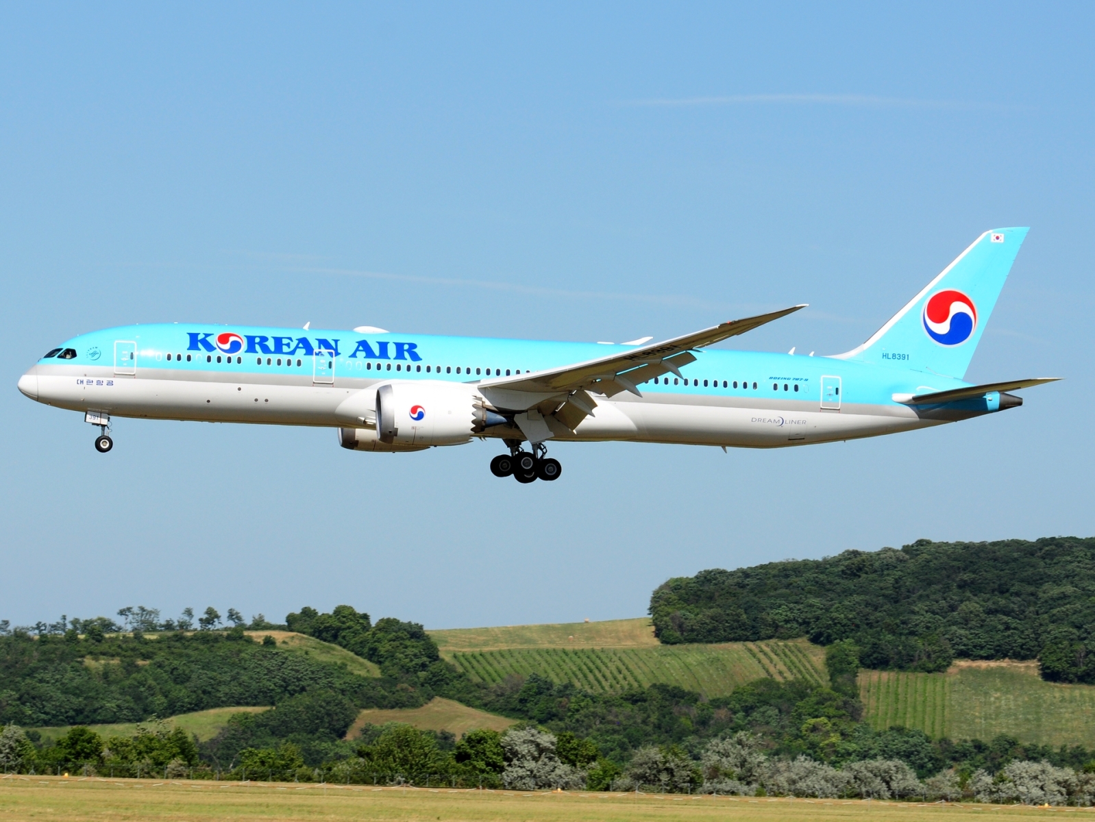 HL8391 - 787-9 Dreamliner - Korean Air Lines - VIE - 25-06-2025