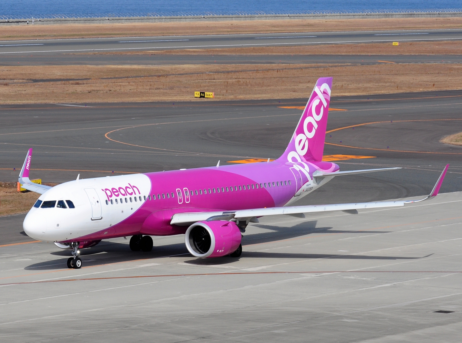 JA205P - A320-251N(WL) - Peach - NGO - 18-03-2025c