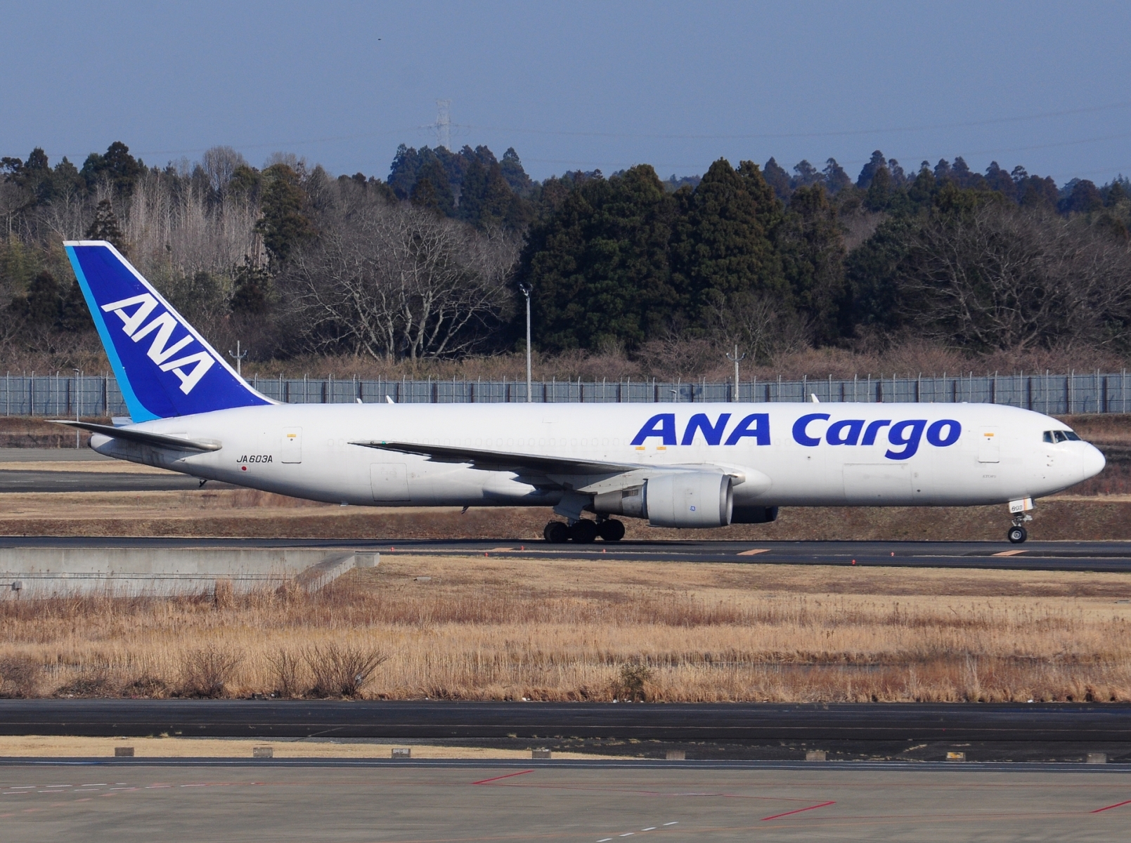 JA603A - 767-381(ER) - ANA All Nippon Airways - NRT - 21-03-2025