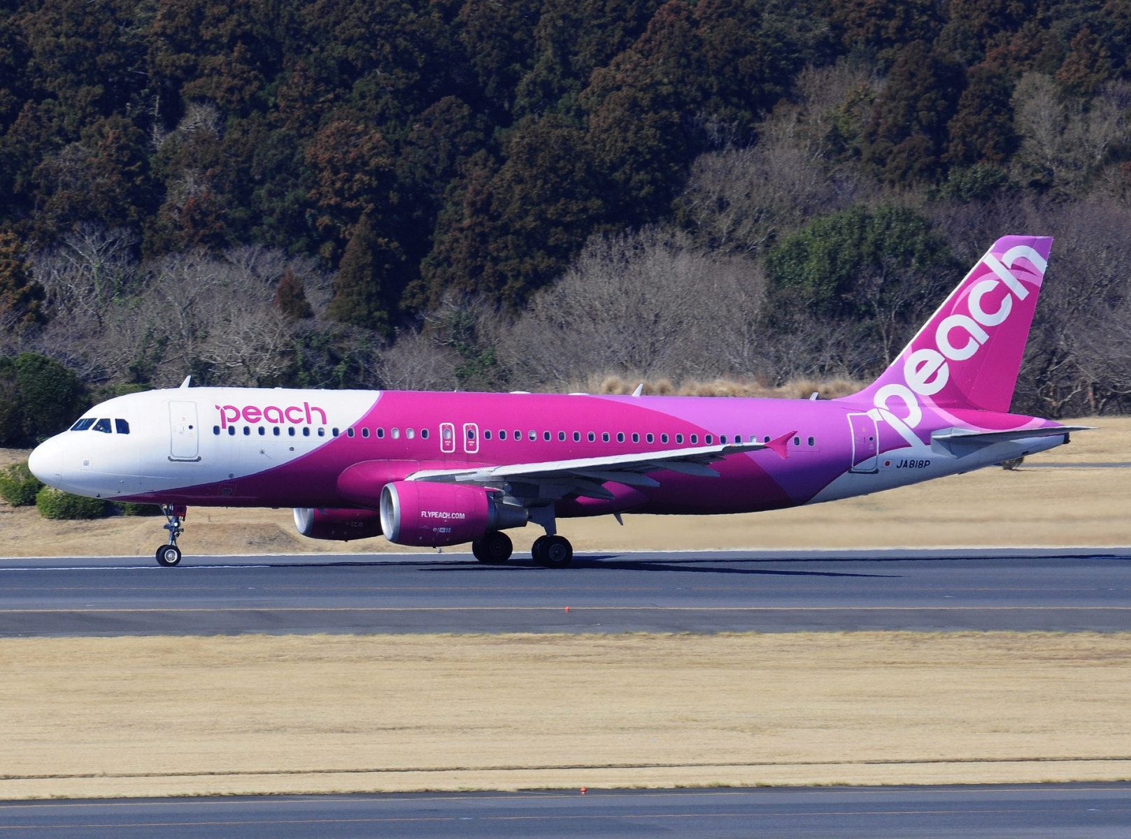 JA818P - A320-214(WL) - Peach - NRT - 21-03-2025