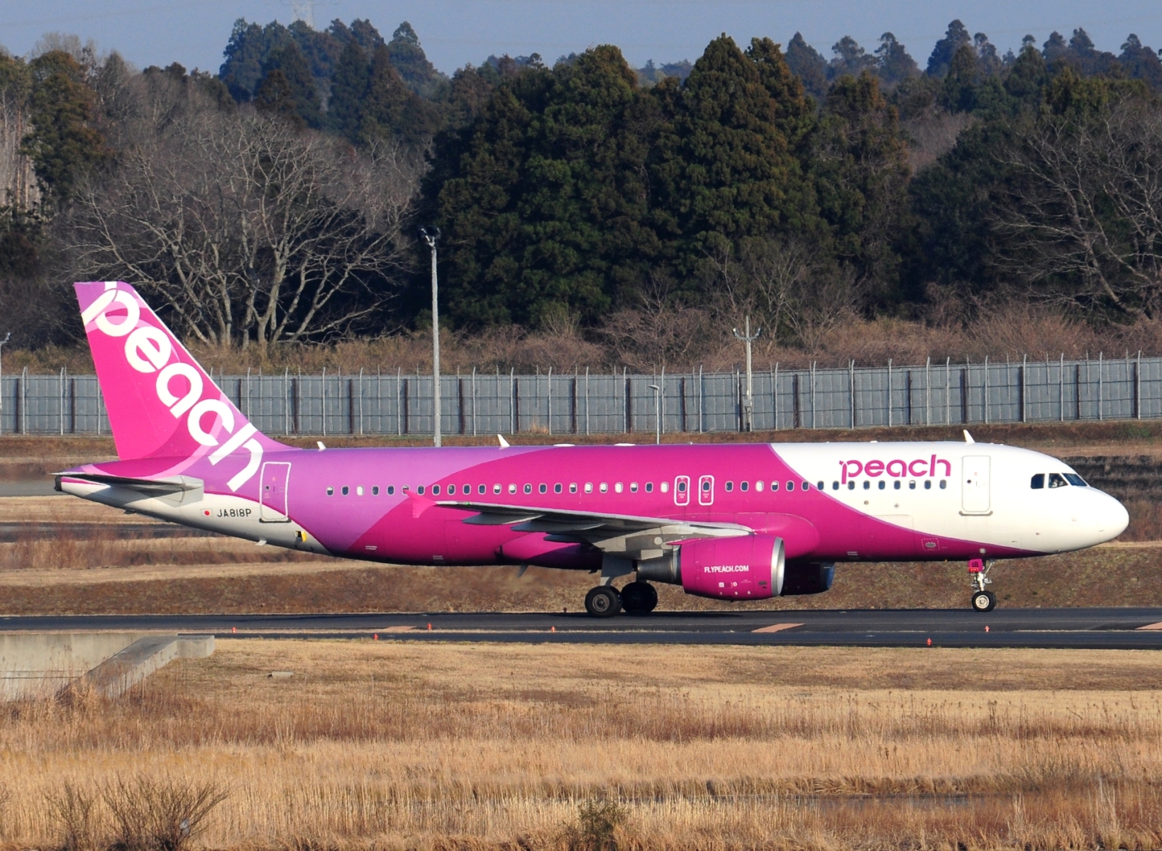 JA818P - A320-214(WL) - Peach - NRT - 21-03-2025b