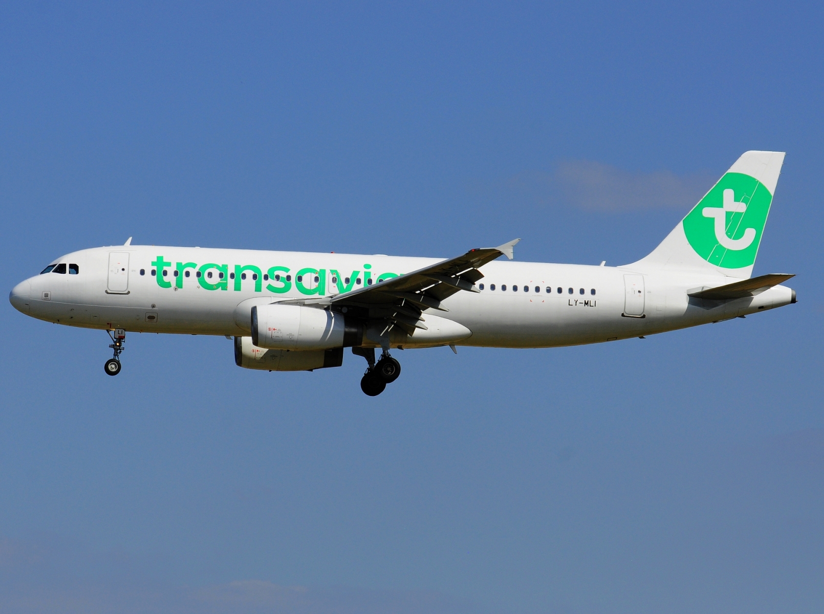 LY-MLI - A320-232 - Transavia - BRU - 19-05-2025
