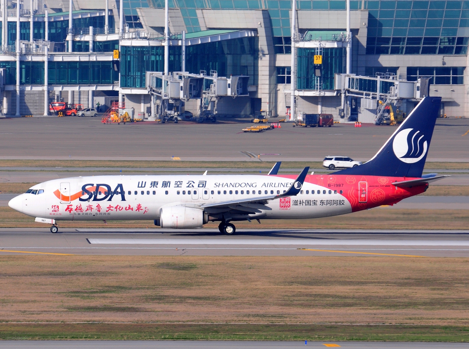 B-1987 _ 737-89L(WL) _ Shandong Airlines _ ICN _ RKSI _ 01-05-2026