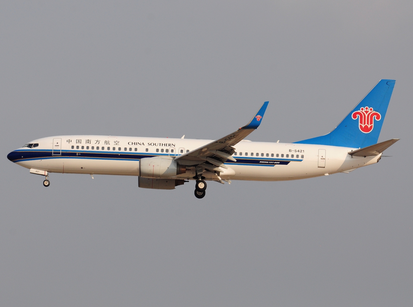 B-5421 _ 737-81B _ China Southern Airlines _ CAN _ ZGGG _ 09-02-2026