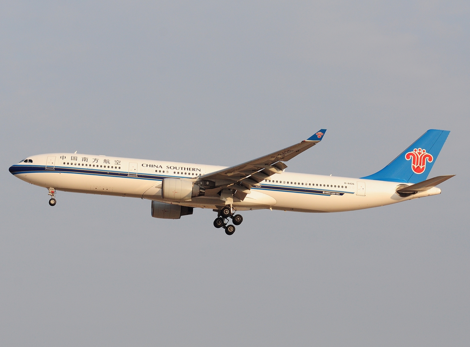 B-8426 _ A330-323 _ China Southern Airlines _ CAN _ ZGGG _ 09-02-2026